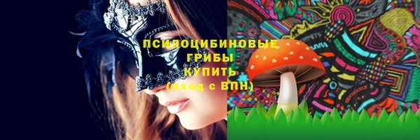 молекула духа Алексеевка