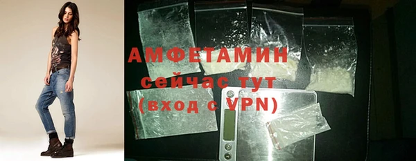 молекула духа Алексеевка